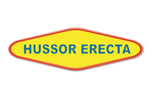 HUSSOR ERECTA